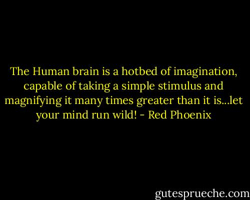 The Human brain is a hotbed of imagination, capable of taking a simple stimulus and magnifying it many times greater than it is...let your mind run wild! - Red Phoenix