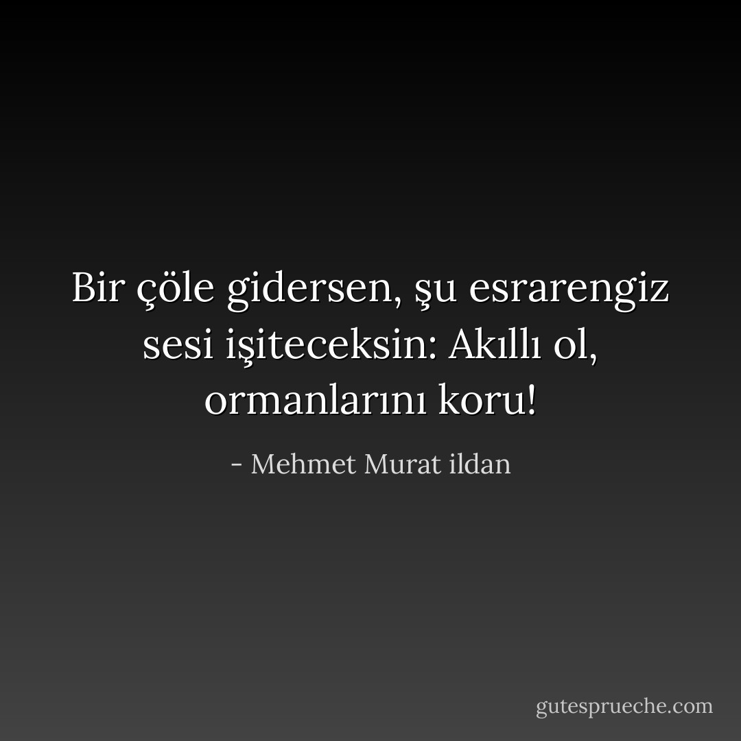 Bir çöle gidersen, şu esrarengiz sesi işiteceksin: Akıllı ol, ormanlarını koru! - Mehmet Murat ildan