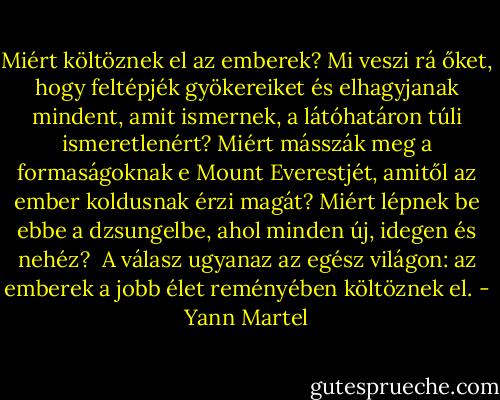 Miért költöznek el az emberek? Mi veszi rá őket, hogy feltépjék gyökereiket és elhagyjanak mindent, amit ismernek, a látóhatáron túli ismeretlenért? Miért másszák meg a formaságoknak e Mount Everestjét, amitől az ember koldusnak érzi magát? Miért lépnek be ebbe a dzsungelbe, ahol minden új, idegen és nehéz? <br />A válasz ugyanaz az egész világon: az emberek a jobb élet reményében költöznek el. - Yann Martel