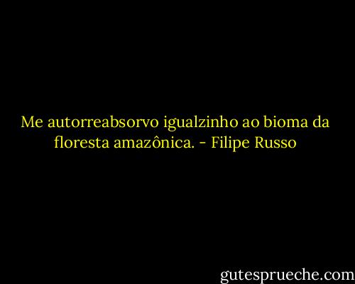 Me autorreabsorvo igualzinho ao bioma da floresta amazônica. - Filipe Russo