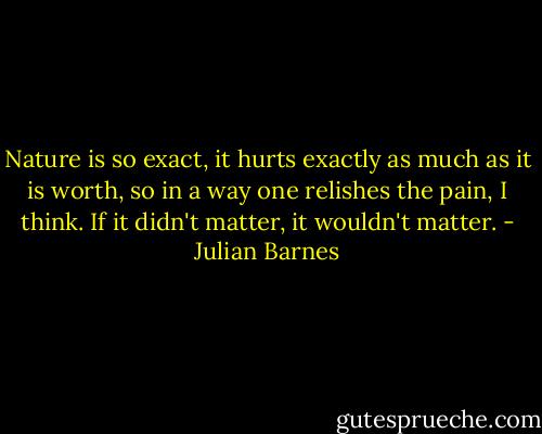 Nature is so exact, it hurts exactly as much as it is worth, so in a way one relishes the pain, I think. If it didn't matter, it wouldn't matter. - Julian Barnes