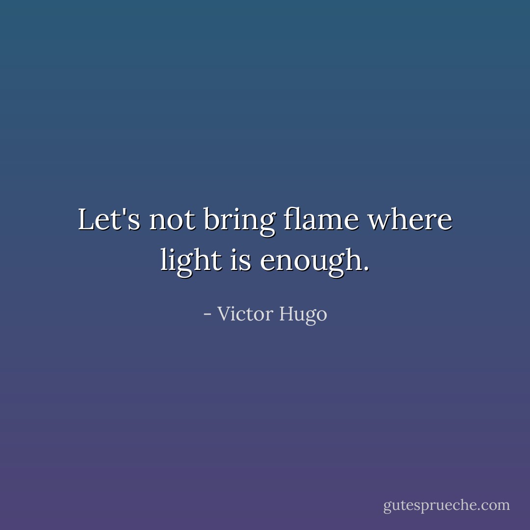 Let's not bring flame where light is enough. - Victor Hugo