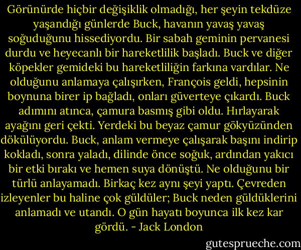 Görünürde hiçbir değişiklik olmadığı, her şeyin tekdüze yaşandığı günlerde Buck, havanın yavaş yavaş soğuduğunu hissediyordu. Bir sabah geminin pervanesi durdu ve heyecanlı bir hareketlilik başladı. Buck ve diğer köpekler gemideki bu hareketliliğin farkına vardılar. Ne olduğunu anlamaya çalışırken, François geldi, hepsinin boynuna birer ip bağladı, onları güverteye çıkardı. Buck adımını atınca, çamura basmış gibi oldu. Hırlayarak ayağını geri çekti. Yerdeki bu beyaz çamur gökyüzünden dökülüyordu. Buck, anlam vermeye çalışarak başını indirip kokladı, sonra yaladı, dilinde önce soğuk, ardından yakıcı bir etki bırakı ve hemen suya dönüştü. Ne olduğunu bir türlü anlayamadı. Birkaç kez aynı şeyi yaptı. Çevreden izleyenler bu haline çok güldüler; Buck neden güldüklerini anlamadı ve utandı. O gün hayatı boyunca ilk kez kar gördü. - Jack London