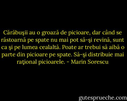 Cărăbuşii au o groază de picioare, dar când se răstoarnă pe spate nu mai pot să-şi revină, sunt ca şi pe lumea cealaltă. Poate ar trebui să aibă o parte din picioare pe spate. Să-şi distribuie mai raţional picioarele. - Marin Sorescu