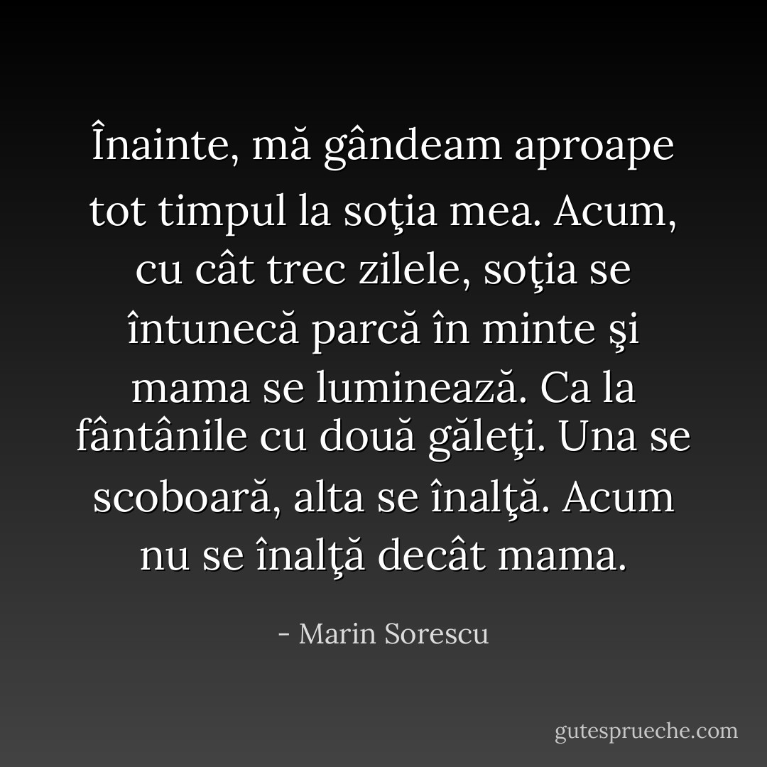 Înainte, mă gândeam aproape tot timpul la soţia mea. Acum, cu cât trec zilele, soţia se întunecă parcă în minte şi mama se luminează. Ca la fântânile cu două găleţi. Una se scoboară, alta se înalţă. Acum nu se înalţă decât mama. - Marin Sorescu