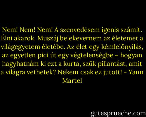 Nem! Nem! Nem! A szenvedésem igenis számít. Élni akarok. Muszáj belekevernem az életemet a világegyetem életébe. Az élet egy kémlelőnyílás, az egyetlen pici út egy végtelenségbe – hogyan hagyhatnám ki ezt a kurta, szűk pillantást, amit a világra vethetek? Nekem csak ez jutott! - Yann Martel