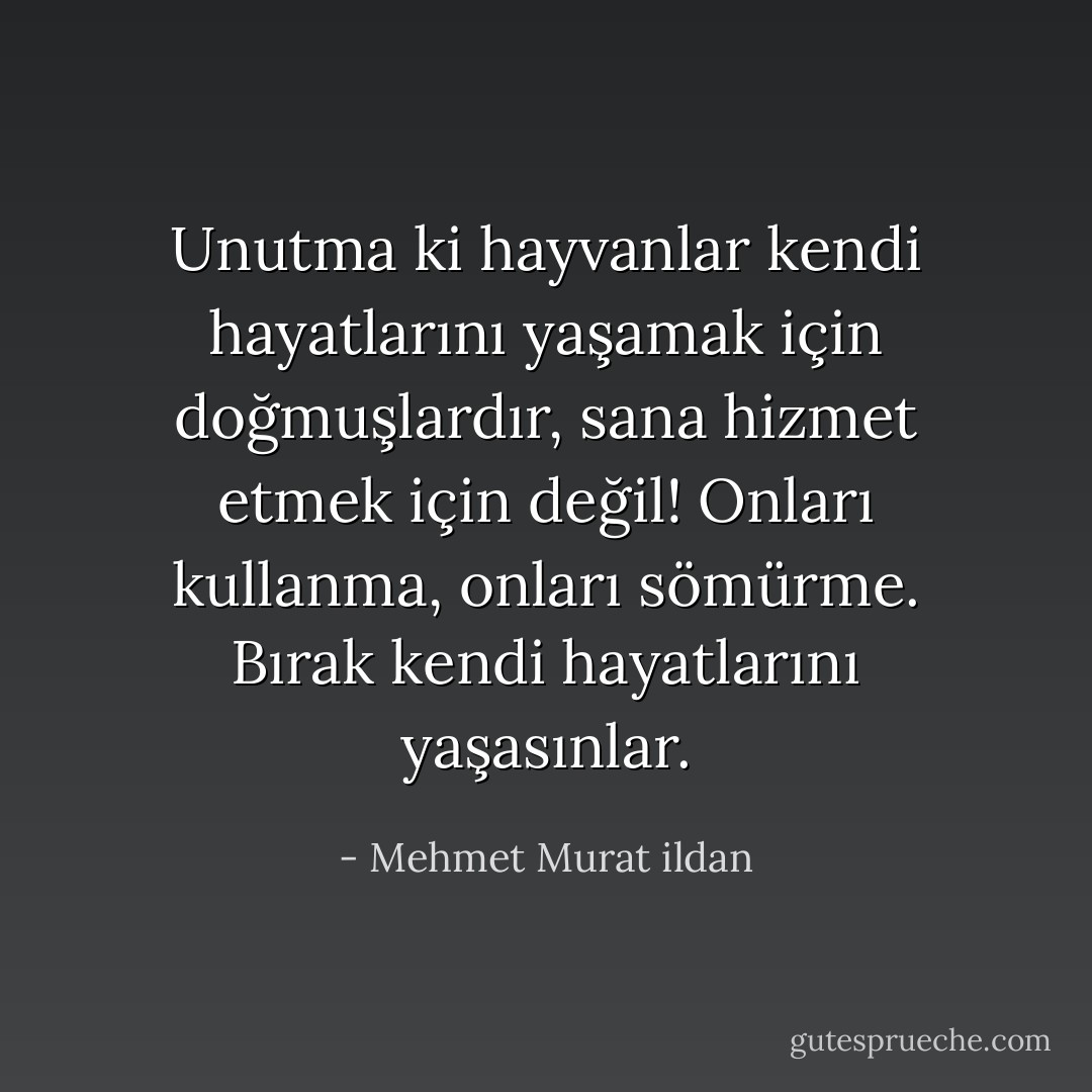 Unutma ki hayvanlar kendi hayatlarını yaşamak için doğmuşlardır, sana hizmet etmek için değil! Onları kullanma, onları sömürme. Bırak kendi hayatlarını yaşasınlar. - Mehmet Murat ildan