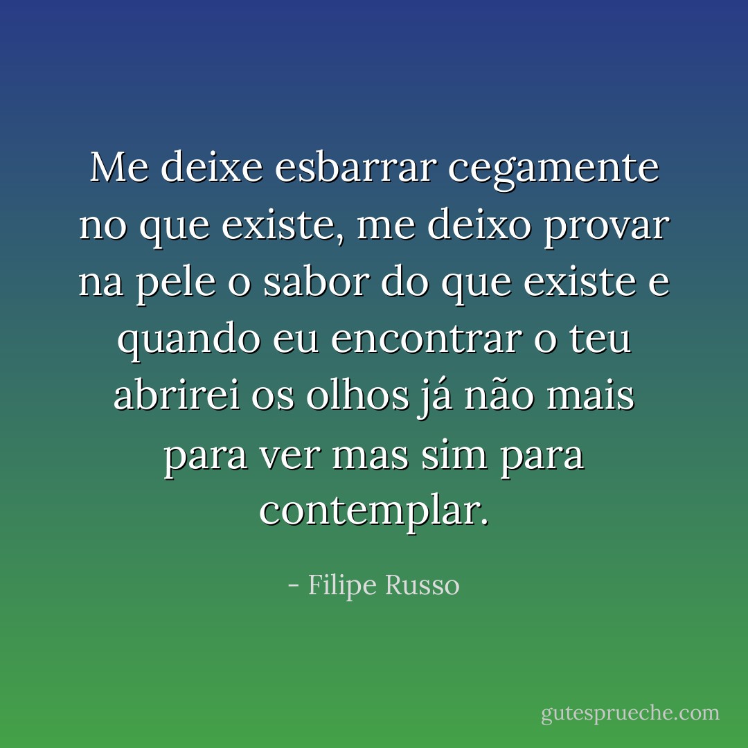 Me deixe esbarrar cegamente no que existe, me deixo provar na pele o sabor do que existe e quando eu encontrar o teu abrirei os olhos já não mais para ver mas sim para contemplar. - Filipe Russo