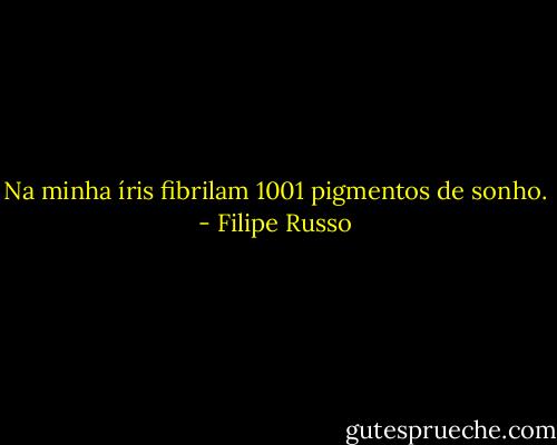 Na minha íris fibrilam 1001 pigmentos de sonho. - Filipe Russo