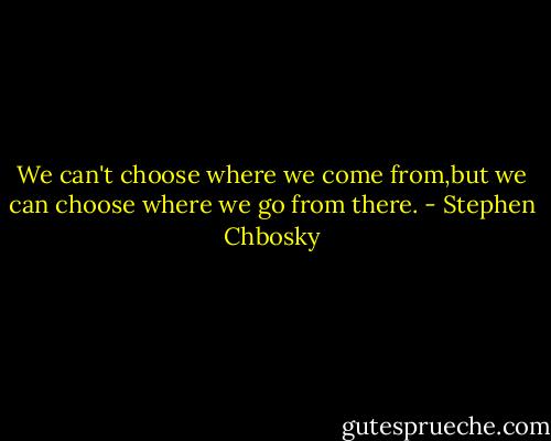 We can't choose where we come from,but we can choose where we go from there. - Stephen Chbosky