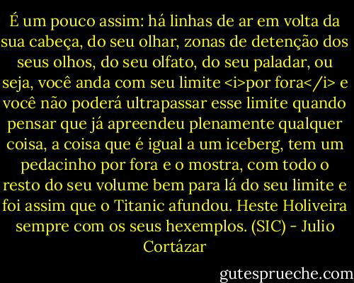 É um pouco assim: há linhas de ar em volta da sua cabeça, do seu olhar, zonas de detenção dos seus olhos, do seu olfato, do seu paladar, ou seja, você anda com seu limite <i>por fora</i><br />e você não poderá ultrapassar esse limite quando pensar que já apreendeu plenamente qualquer coisa, a coisa que é igual a um iceberg, tem um pedacinho por fora e o mostra, com todo o resto do seu volume bem para lá do seu limite e foi assim que o Titanic afundou. Heste Holiveira sempre com os seus hexemplos. (SIC) - Julio Cortázar