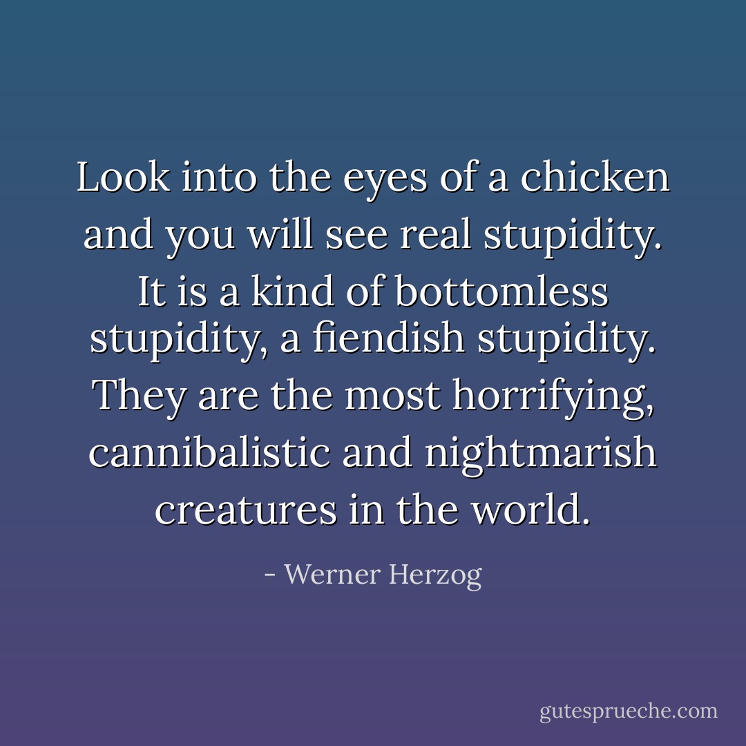 Look into the eyes of a chicken and you will see real stupidity. It is a kind of bottomless stupidity, a fiendish stupidity. They are the most horrifying, cannibalistic and nightmarish creatures in the world. - Werner Herzog