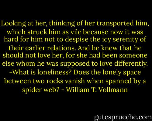 Looking at her, thinking of her transported him, which struck him as vile because now it was hard for him not to despise the icy serenity of their earlier relations. And he knew that he should not love her, for she had been someone else whom he was supposed to love differently. -What is loneliness? Does the lonely space between two rocks vanish when spanned by a spider web? - William T. Vollmann
