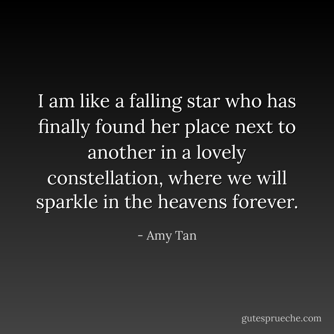 I am like a falling star who has finally found her place next to another in a lovely constellation, where we will sparkle in the heavens forever. - Amy Tan