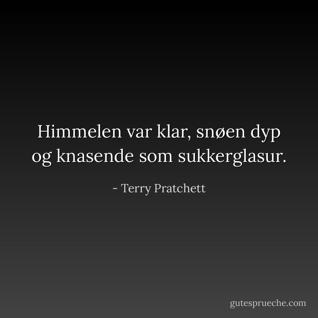 Himmelen var klar, snøen dyp og knasende som sukkerglasur. - Terry Pratchett