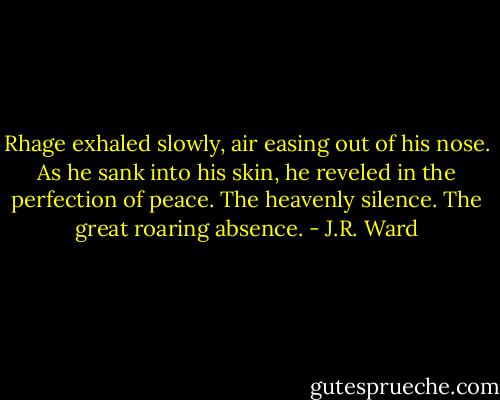 Rhage exhaled slowly, air easing out of his nose. As he sank into his skin, he reveled in the perfection of peace. The heavenly silence. The great roaring absence. - J.R. Ward