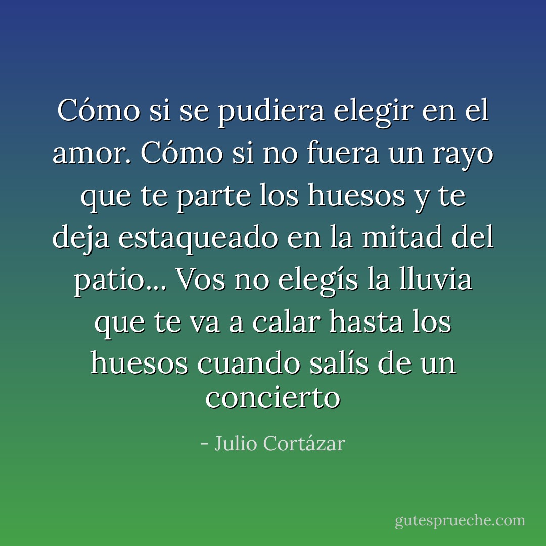 Cómo si se pudiera elegir en el amor. Cómo si no fuera un rayo que te parte los huesos y te deja estaqueado en la mitad del patio... Vos no elegís la lluvia que te va a calar hasta los huesos cuando salís de un concierto - Julio Cortázar