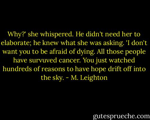 Why?' she whispered.<br />He didn't need her to elaborate; he knew what she was asking. 'I don't want you to be afraid of dying. All those people have survuved cancer. You just watched hundreds of reasons to have hope drift off into the sky. - M. Leighton