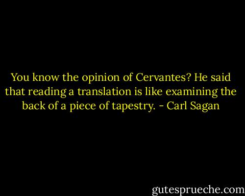 You know the opinion of Cervantes? He said that reading a translation is like examining the back of a piece of tapestry. - Carl Sagan