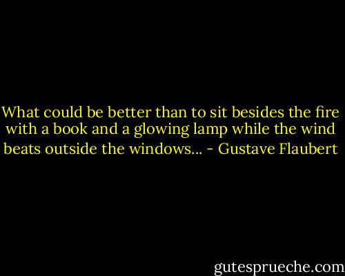 What could be better than to sit besides the fire with a book and a glowing lamp while the wind beats outside the windows... - Gustave Flaubert