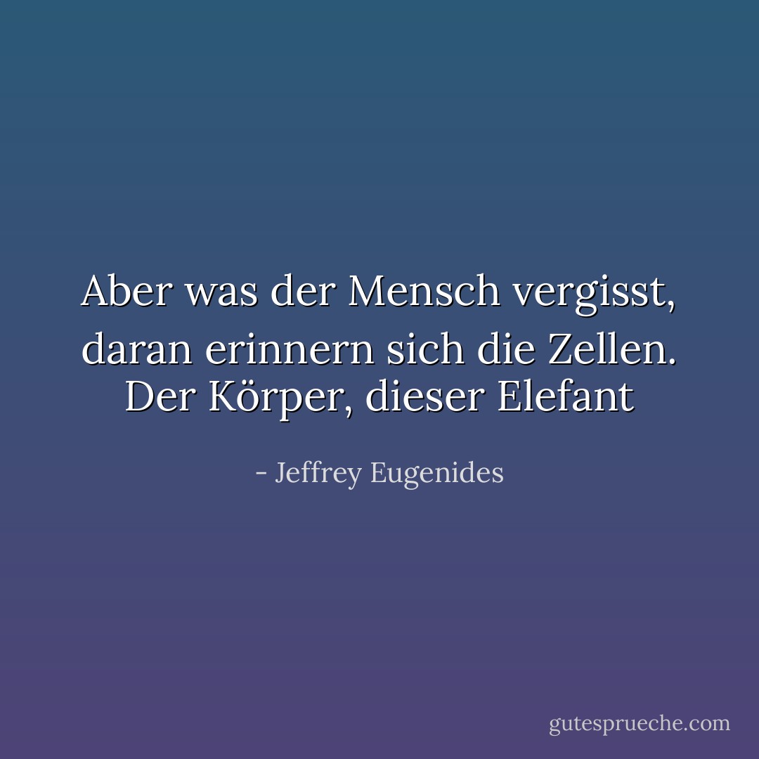 Aber was der Mensch vergisst, daran erinnern sich die Zellen. Der Körper, dieser Elefant - Jeffrey Eugenides<