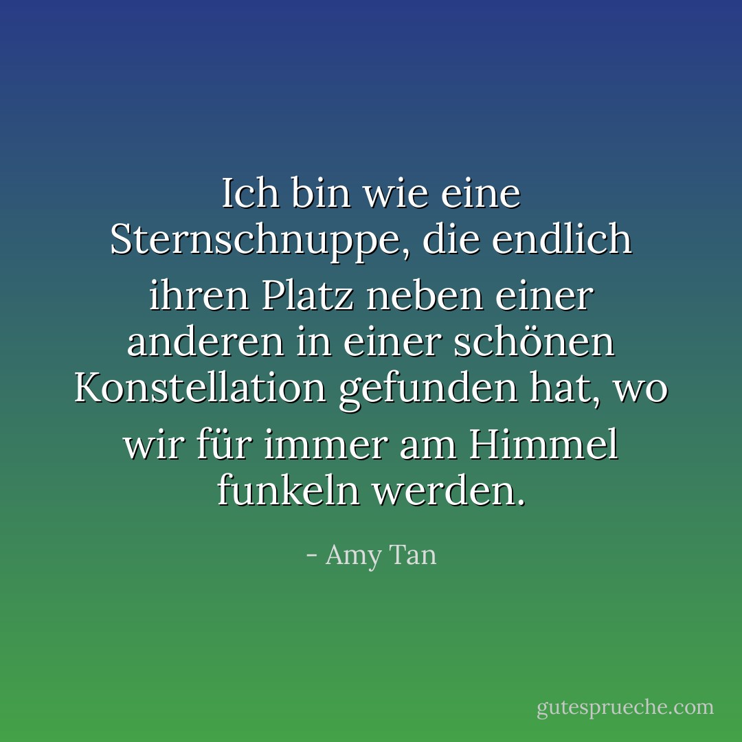 Ich bin wie eine Sternschnuppe, die endlich ihren Platz neben einer anderen in einer schönen Konstellation gefunden hat, wo wir für immer am Himmel funkeln werden. - Amy Tan<