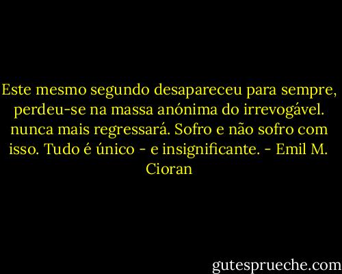 Este mesmo segundo desapareceu para sempre, perdeu-se na massa anónima do irrevogável. nunca mais regressará. Sofro e não sofro com isso. Tudo é único - e insignificante. - Emil M. Cioran