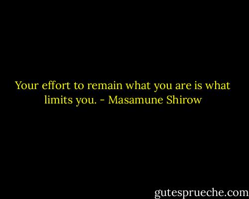 Your effort to remain what you are is what limits you. - Masamune Shirow