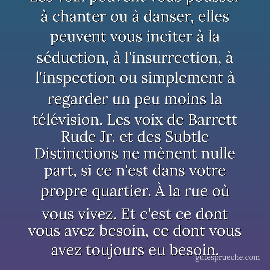 Les voix peuvent vous pousser à chanter ou à danser, elles peuvent vous inciter à la séduction, à l'insurrection, à l'inspection ou simplement à regarder un peu moins la télévision. Les voix de Barrett Rude Jr. et des Subtle Distinctions ne mènent nulle part, si ce n'est dans votre propre quartier. À la rue où vous vivez. Et c'est ce dont vous avez besoin, ce dont vous avez toujours eu besoin. - Jonathan Lethem