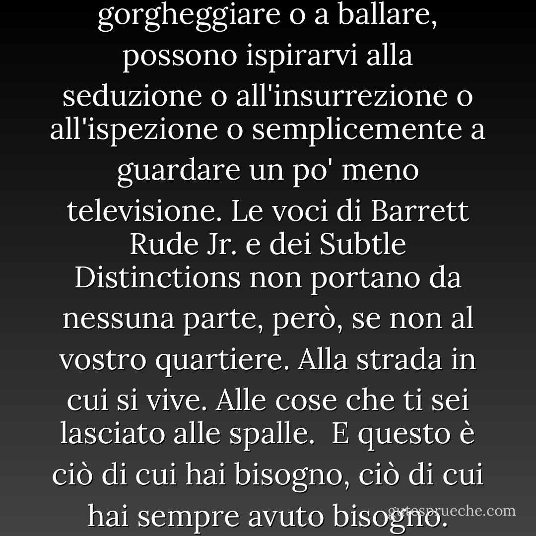 Le voci possono spingervi a gorgheggiare o a ballare, possono ispirarvi alla seduzione o all'insurrezione o all'ispezione o semplicemente a guardare un po' meno televisione. Le voci di Barrett Rude Jr. e dei Subtle Distinctions non portano da nessuna parte, però, se non al vostro quartiere. Alla strada in cui si vive. Alle cose che ti sei lasciato alle spalle. <br />E questo è ciò di cui hai bisogno, ciò di cui hai sempre avuto bisogno. - Jonathan Lethem