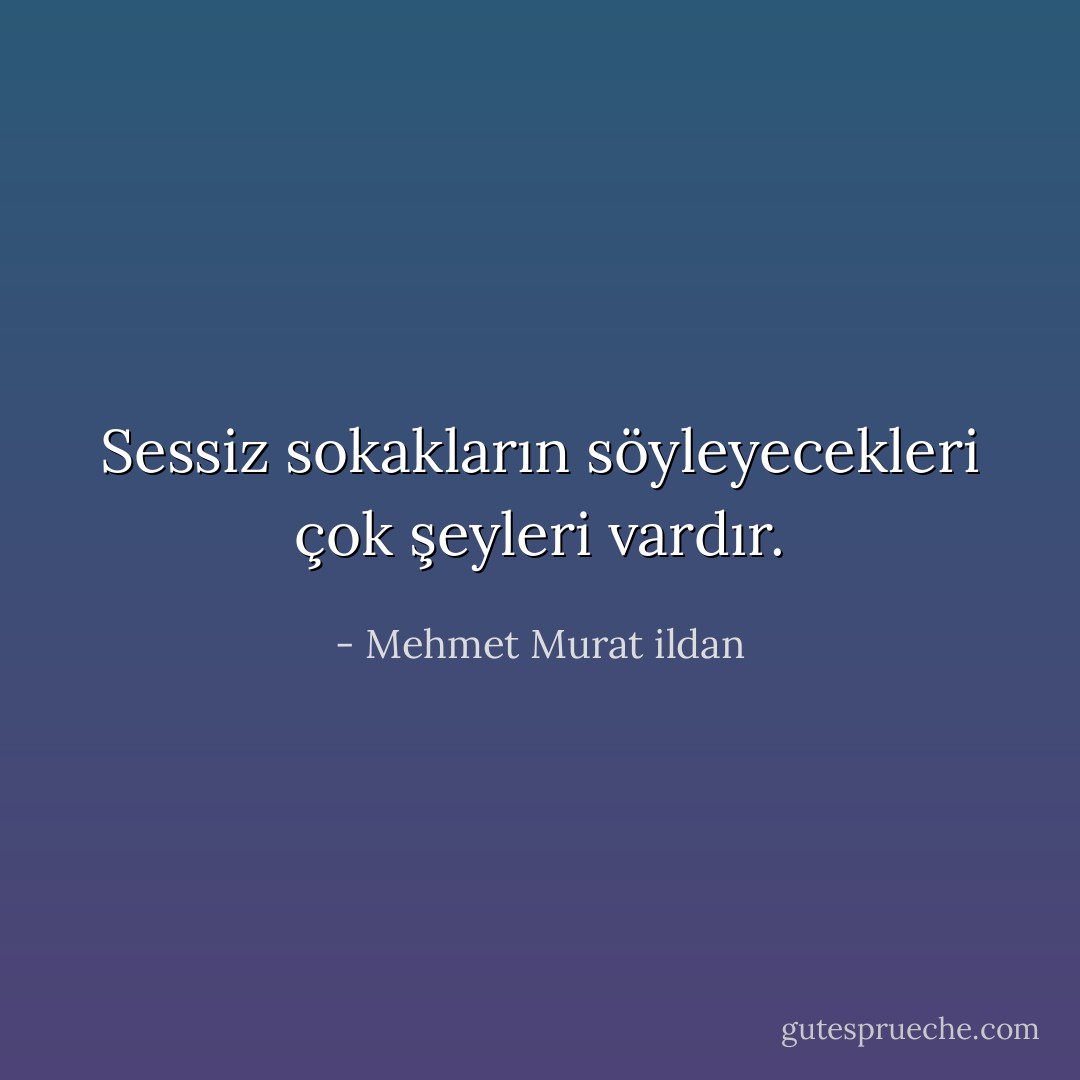 Sessiz sokakların söyleyecekleri çok şeyleri vardır. - Mehmet Murat ildan