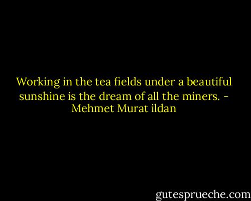 Working in the tea fields under a beautiful sunshine is the dream of all the miners. - Mehmet Murat ildan