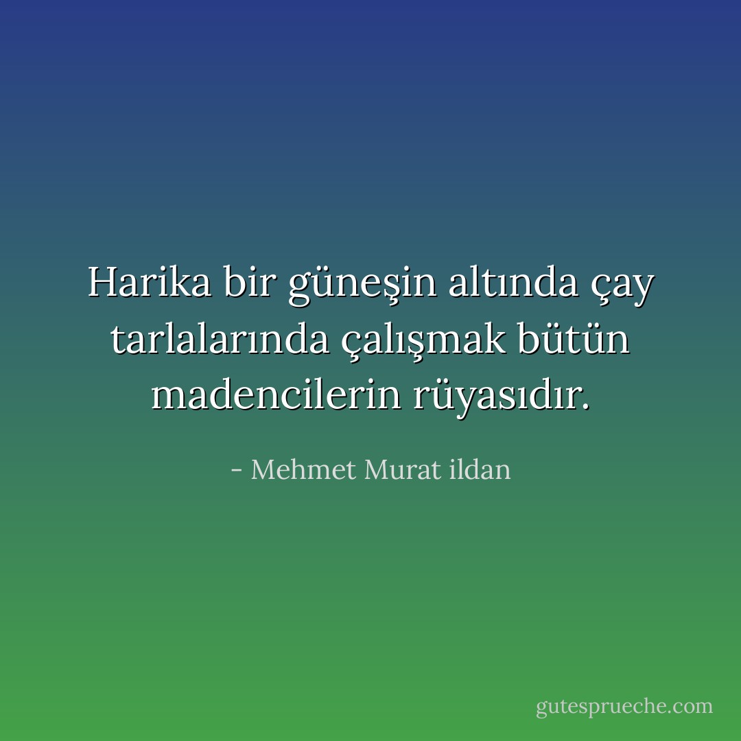 Harika bir güneşin altında çay tarlalarında çalışmak bütün madencilerin rüyasıdır. - Mehmet Murat ildan