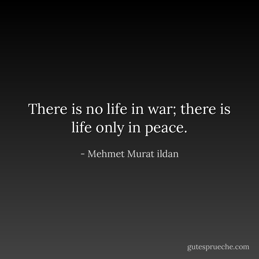 There is no life in war; there is life only in peace. - Mehmet Murat ildan
