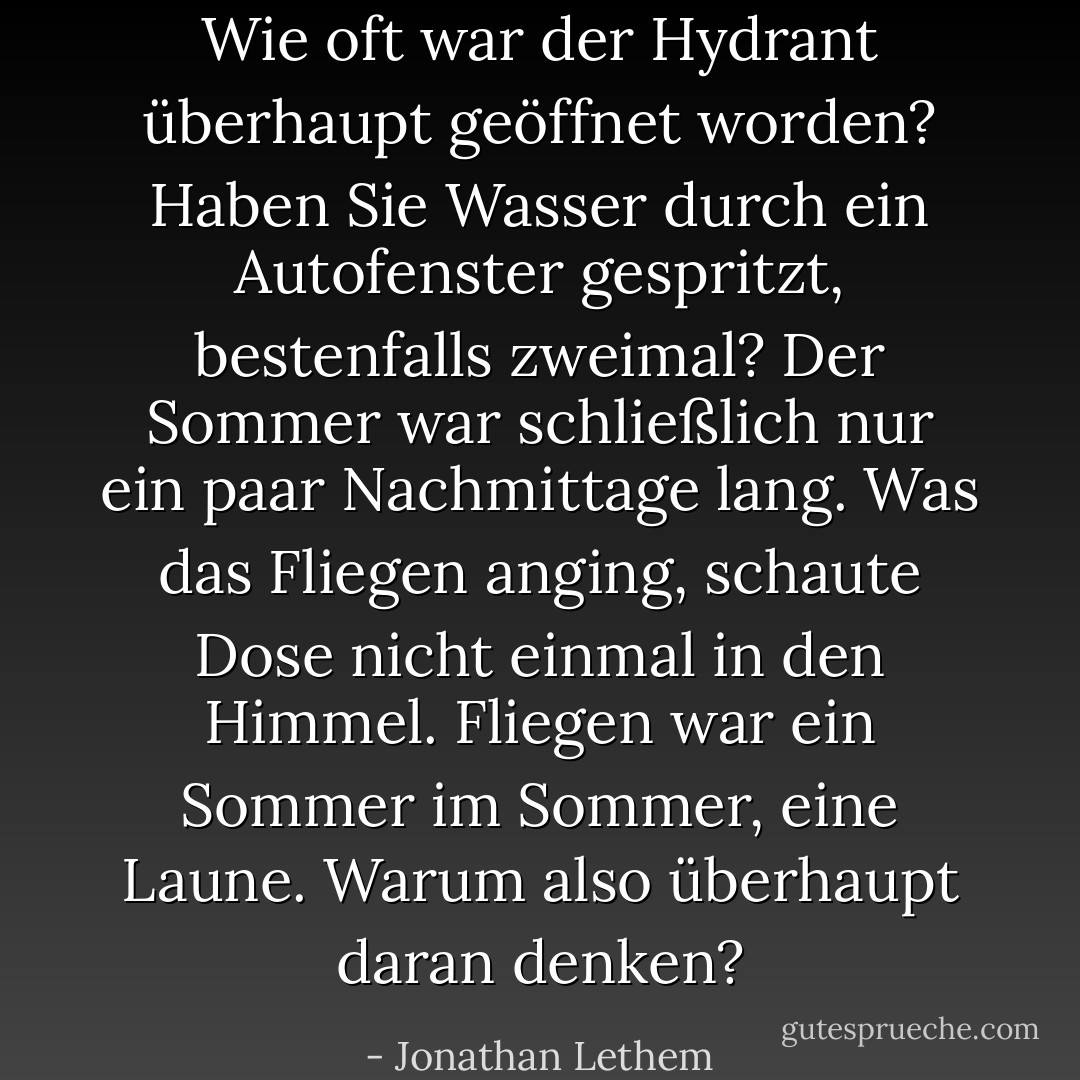 Wie oft war der Hydrant überhaupt geöffnet worden? Haben Sie Wasser durch ein Autofenster gespritzt, bestenfalls zweimal? Der Sommer war schließlich nur ein paar Nachmittage lang.<br />Was das Fliegen anging, schaute Dose nicht einmal in den Himmel. Fliegen war ein Sommer im Sommer, eine Laune. Warum also überhaupt daran denken? - Jonathan Lethem<