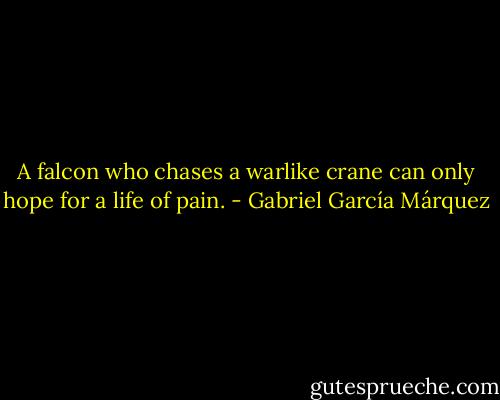 A falcon who chases a warlike crane can only hope for a life of pain. - Gabriel García Márquez