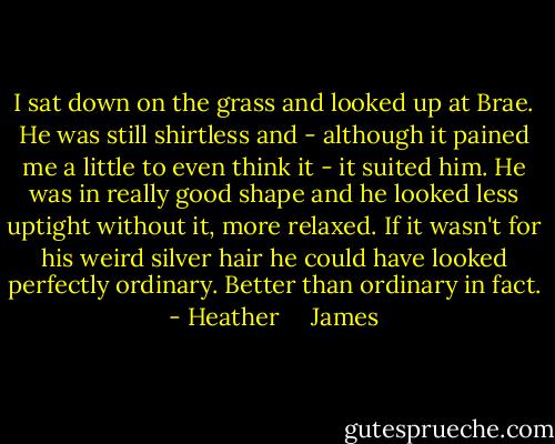 I sat down on the grass and looked up at Brae. He was still shirtless and - although it pained me a little to even think it - it suited him. He was in really good shape and he looked less uptight without it, more relaxed. If it wasn't for his weird silver hair he could have looked perfectly ordinary. Better than ordinary in fact. - Heather     James