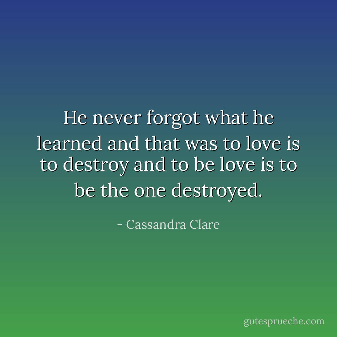 He never forgot what he learned and that was to love is to destroy and to be love is to be the one destroyed. - Cassandra Clare