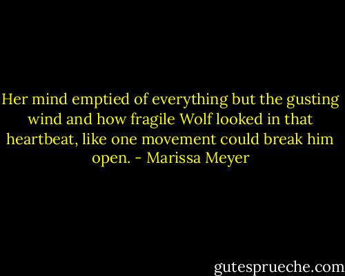 Her mind emptied of everything but the gusting wind and how fragile Wolf looked in that heartbeat, like one movement could break him open. - Marissa Meyer
