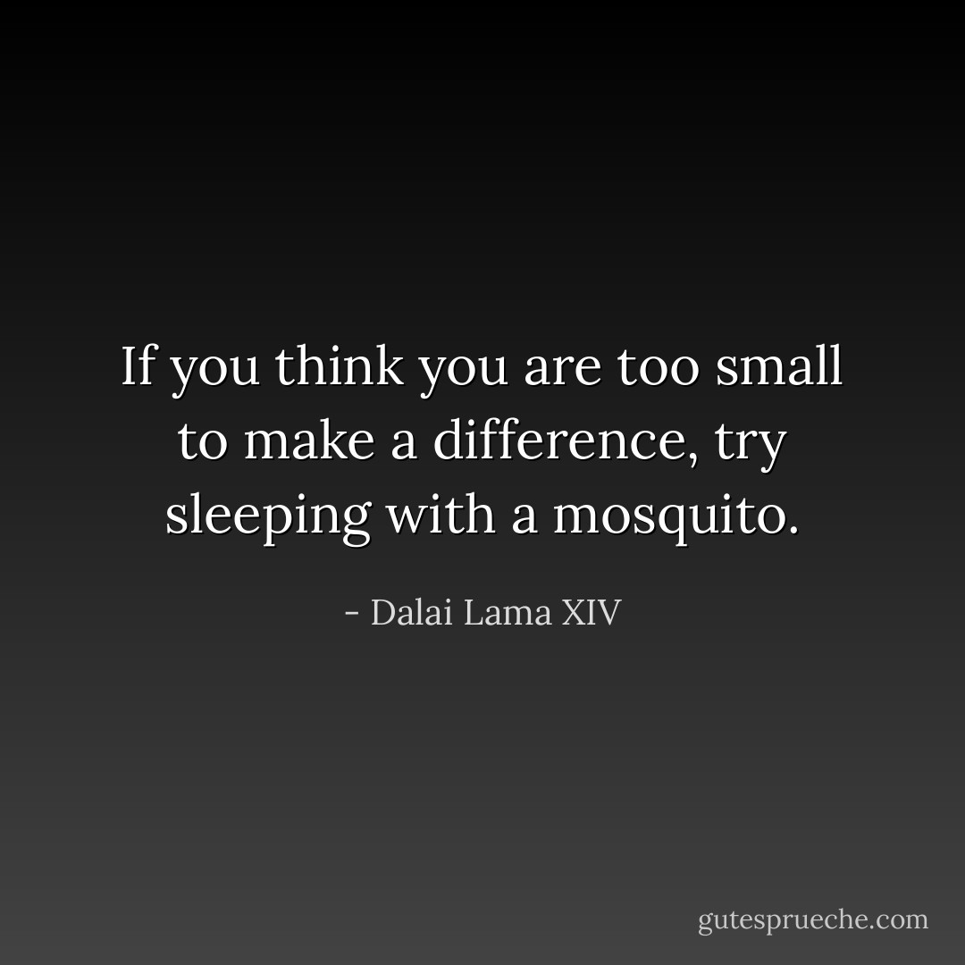If you think you are too small to make a difference, try sleeping with a mosquito. - Dalai Lama XIV