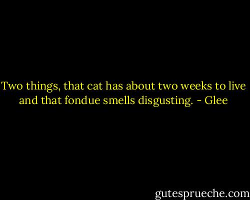 Two things, that cat has about two weeks to live and that fondue smells disgusting. - Glee