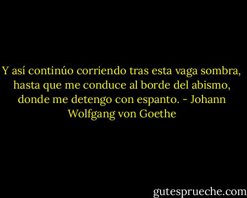 Y así continúo corriendo tras esta vaga sombra, hasta que me conduce al borde del abismo, donde me detengo con espanto. - Johann Wolfgang von Goethe