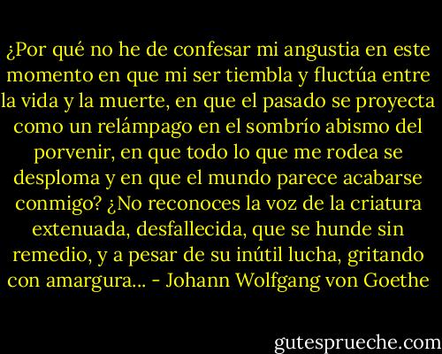 ¿Por qué no he de confesar mi angustia en este momento en que mi ser tiembla y fluctúa entre la vida y la muerte, en que el pasado se proyecta como un relámpago en el sombrío abismo del porvenir, en que todo lo que me rodea se desploma y en que el mundo parece acabarse conmigo? ¿No reconoces la voz de la criatura extenuada, desfallecida, que se hunde sin remedio, y a pesar de su inútil lucha, gritando con amargura... - Johann Wolfgang von Goethe