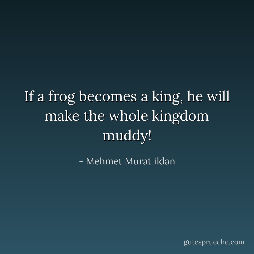 If a frog becomes a king, he will make the whole kingdom muddy! - Mehmet Murat ildan