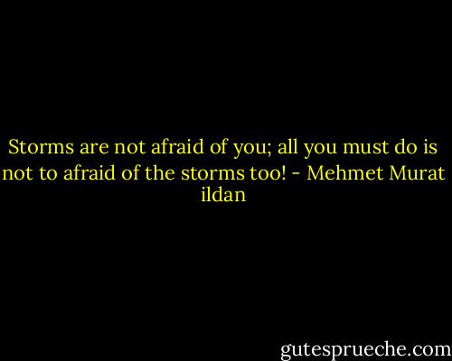 Storms are not afraid of you; all you must do is not to afraid of the storms too! - Mehmet Murat ildan
