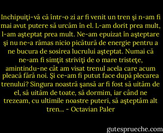 Inchipuiţi-vă că într-o zi ar fi venit un tren şi n-am fi mai avut putere să urcăm în el. L-am dorit prea mult, l-am aşteptat prea mult. Ne-am epuizat în aşteptare şi nu ne-a rămas nicio picătură de energie pentru a ne bucura de sosirea lucrului aşteptat. Numai că ne-am fi simţit striviţi de o mare tristeţe, amintindu-ne cât am visat trenul acela care acum pleacă fără noi. Şi ce-am fi putut face după plecarea trenului? Singura noastră şansă ar fi fost să uităm de el, să uităm de toate, să dormim, iar când ne trezeam, cu ultimile noastre puteri, să aşteptăm alt tren... - Octavian Paler