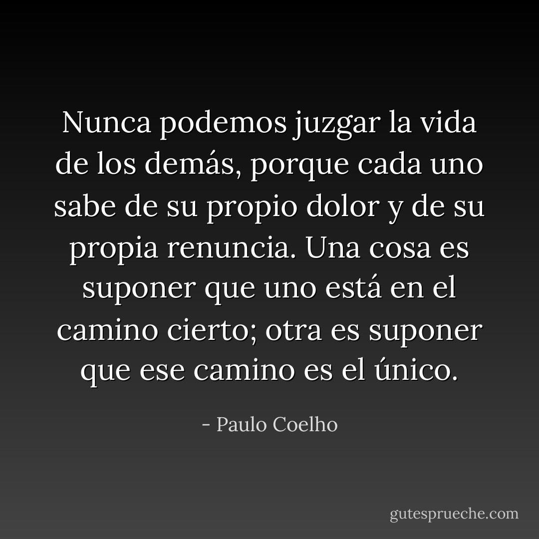 Nunca podemos juzgar la vida de los demás, porque cada uno sabe de su propio dolor y de su propia renuncia. Una cosa es suponer que uno está en el camino cierto; otra es suponer que ese camino es el único. - Paulo Coelho