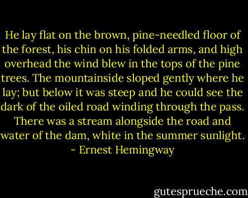 He lay flat on the brown, pine-needled floor of the forest, his chin on his folded arms, and high overhead the wind blew in the tops of the pine trees. The mountainside sloped gently where he lay; but below it was steep and he could see the dark of the oiled road winding through the pass. There was a stream alongside the road and water of the dam, white in the summer sunlight. - Ernest Hemingway