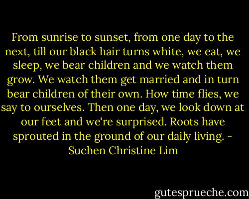 From sunrise to sunset, from one day to the next, till our black hair turns white, we eat, we sleep, we bear children and we watch them grow. We watch them get married and in turn bear children of their own. How time flies, we say to ourselves. Then one day, we look down at our feet and we're surprised. Roots have sprouted in the ground of our daily living. - Suchen Christine Lim