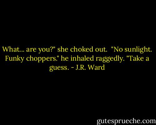 What... are you?" she choked out.<br /><br />"No sunlight. Funky choppers." he inhaled raggedly. "Take a guess. - J.R. Ward